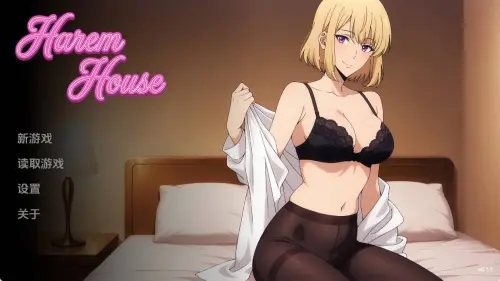 [SLG/汉化/安卓]后宫之家 0.1.1【225MB】